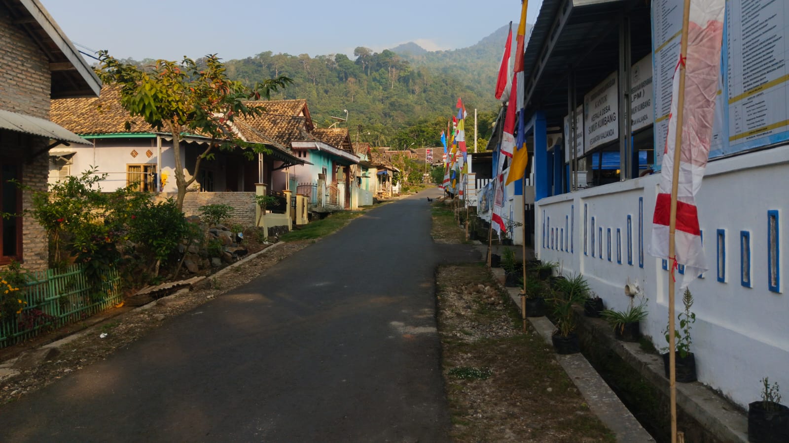 Pemandangan Desa
